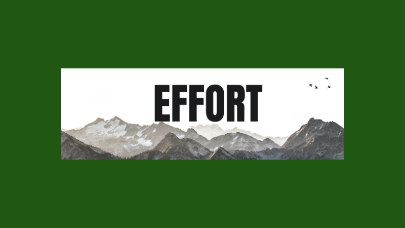 Effort