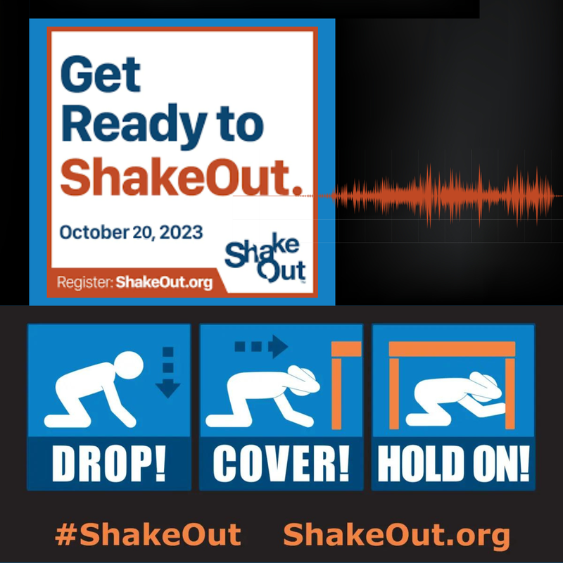 SHAKE OUT! Don't freak out. Thumbnail Image