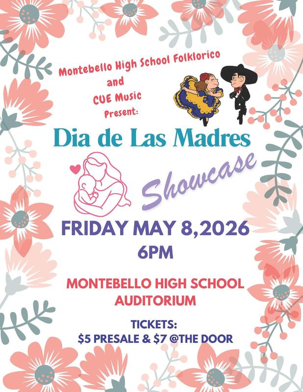 Dia De Las Madres Infographic