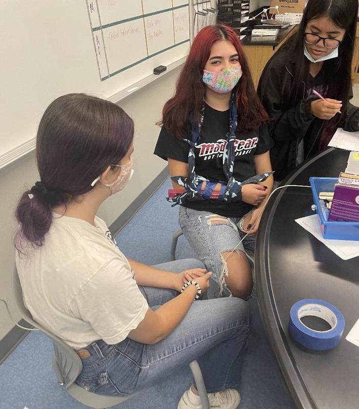 Anatomy students interact through skeletal system station activities. In this station, students practice their skills in creating splints, using everyday materials! Great connection to real-world applications.