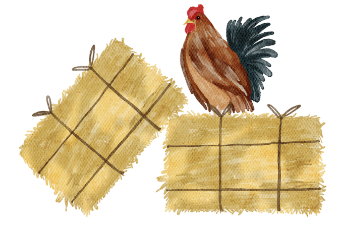 Farm