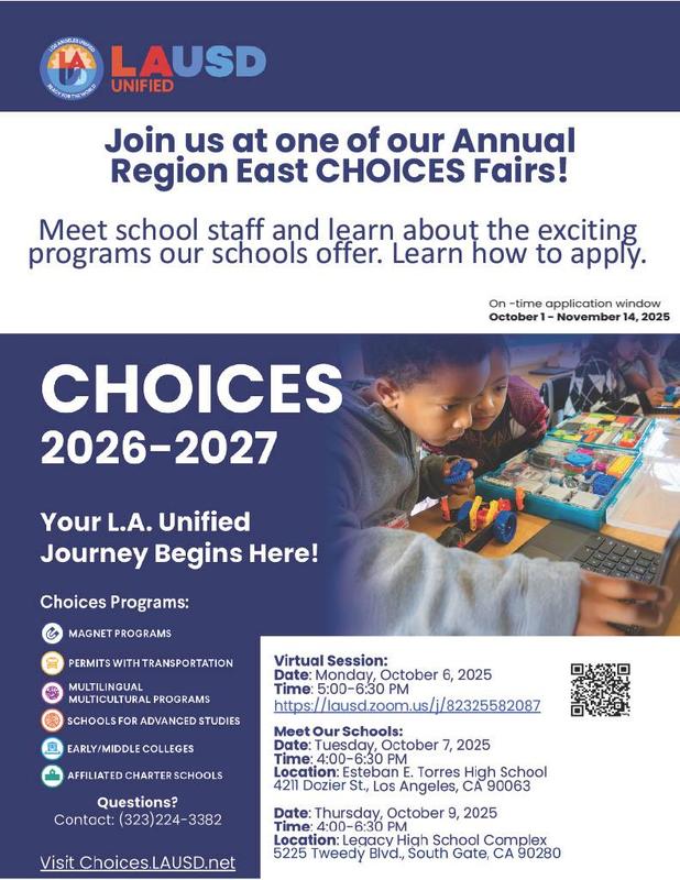 Choices zoom meeting flyer