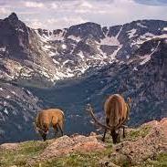 SAMIAAFRIN's Profile Photo