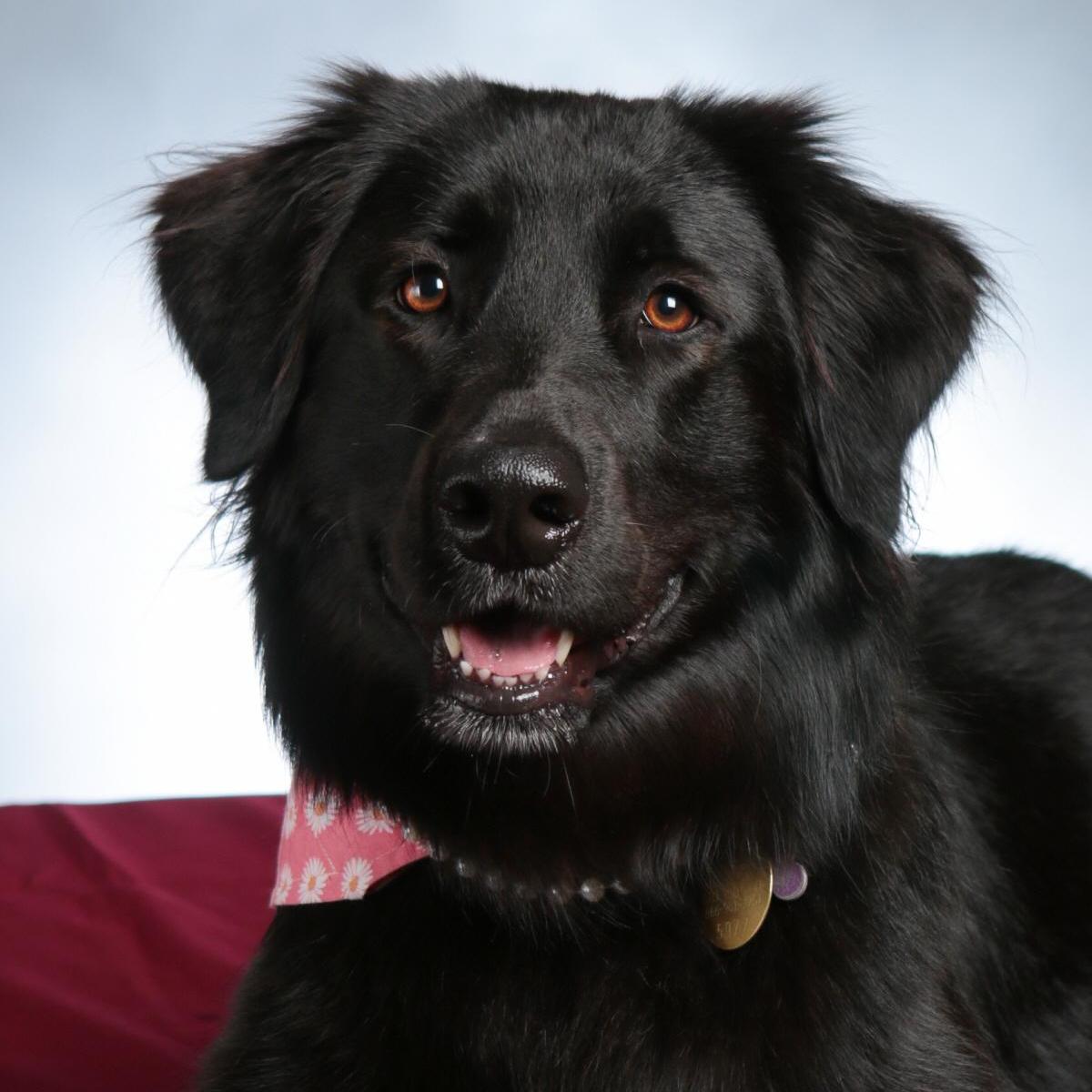 TulaWood's Profile Photo