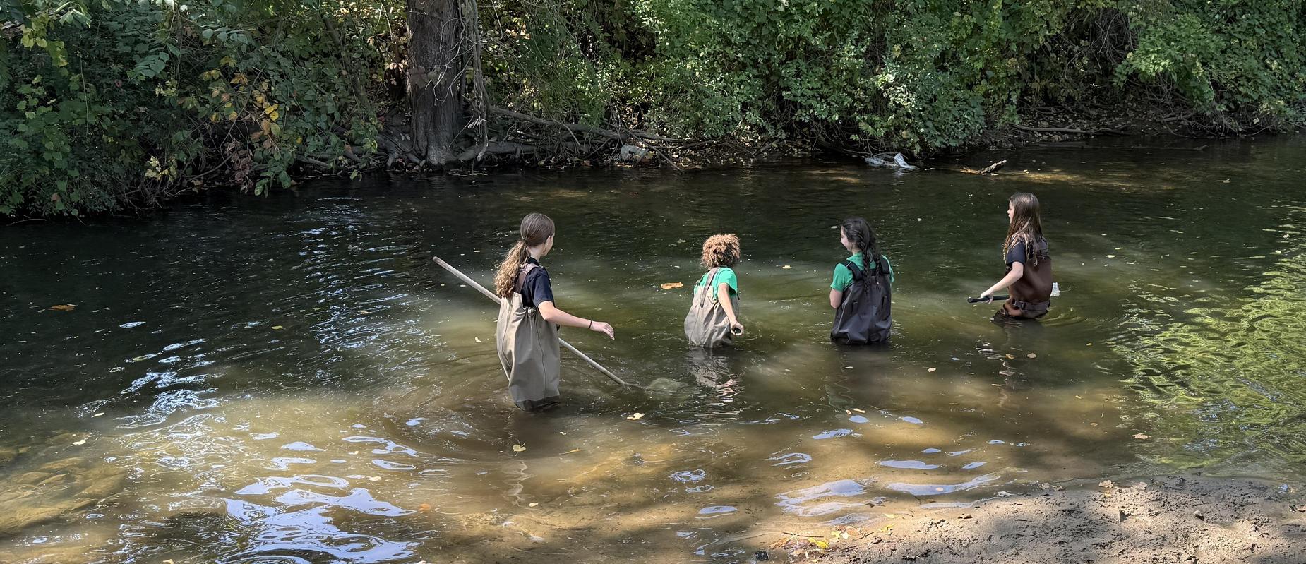 4 girls in waders in creek with nets trying to catch fish