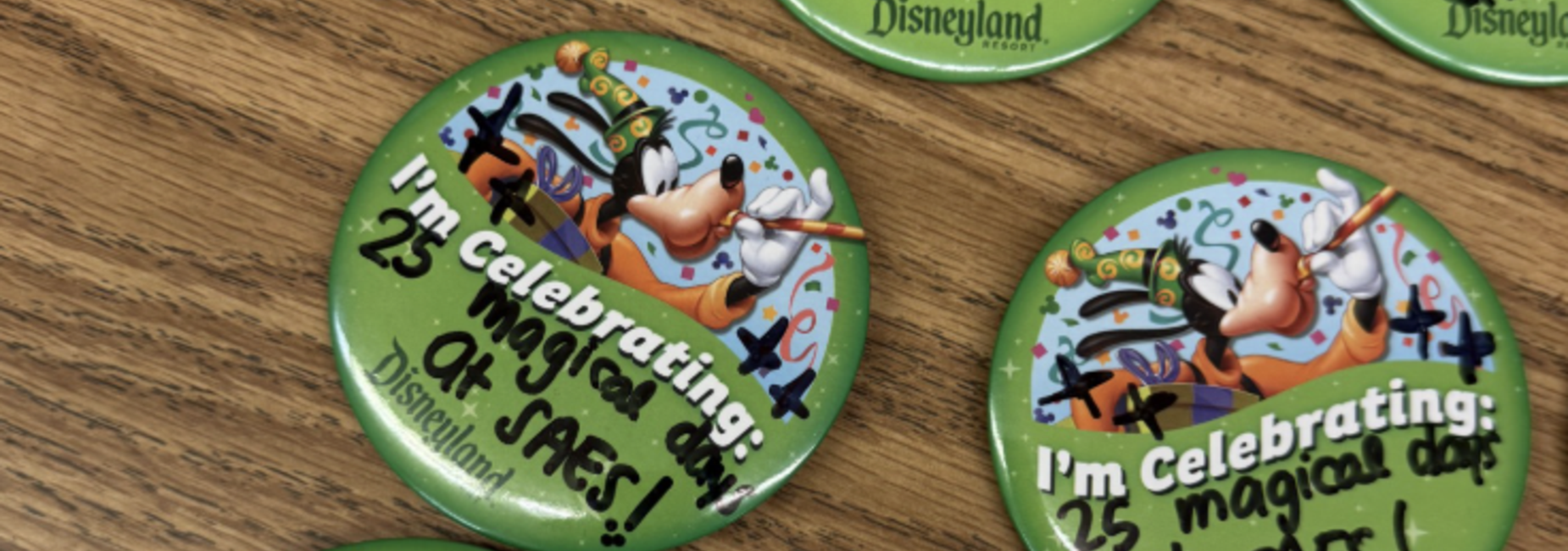 25th Day of Schoool Festivities