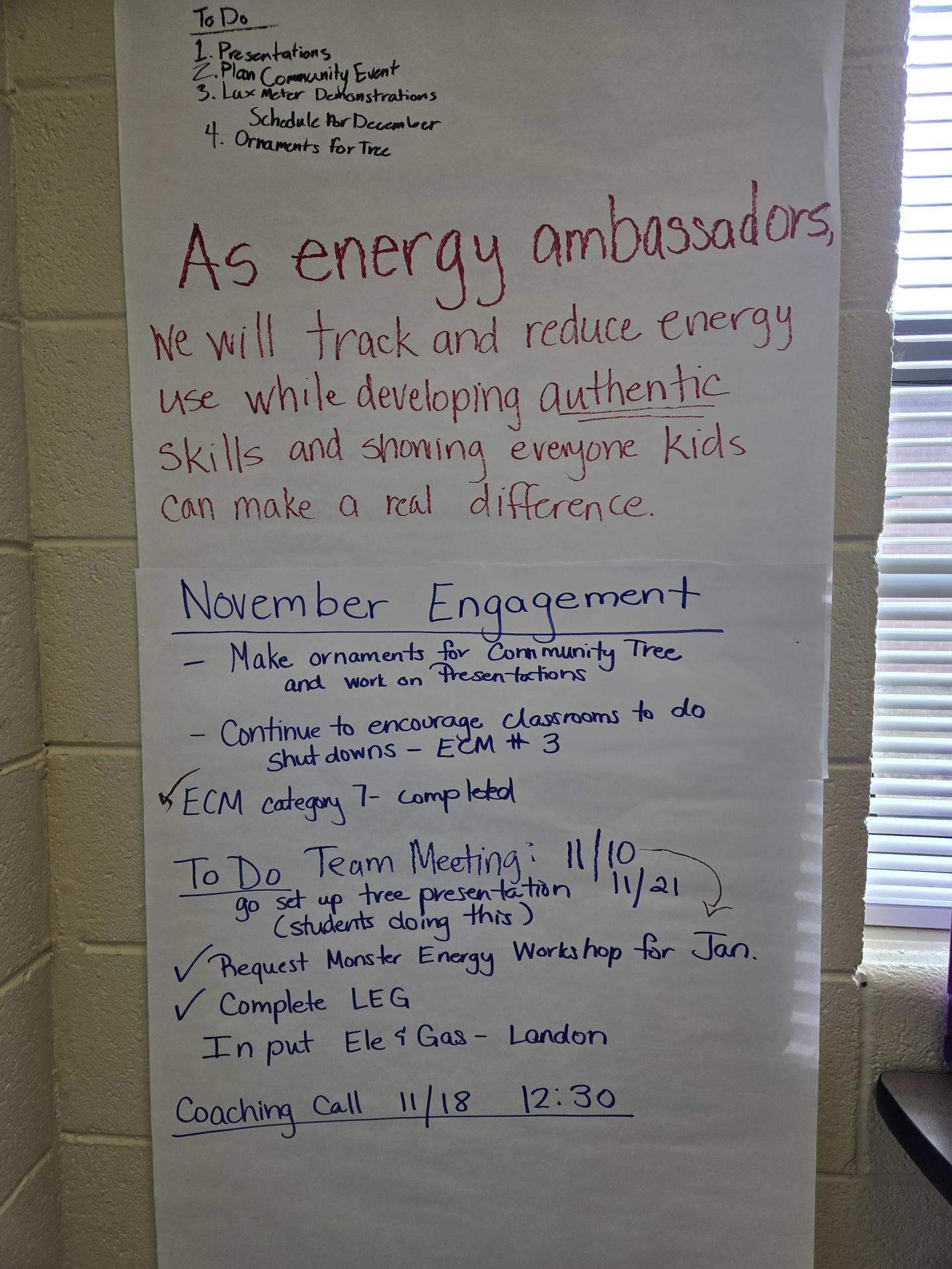 what will an energy ambassador do?