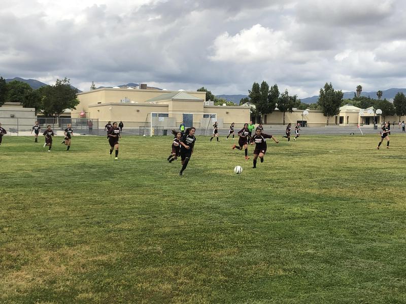 Girls soccer defeated Diamond Valley 7-1 to advance to the championship game.