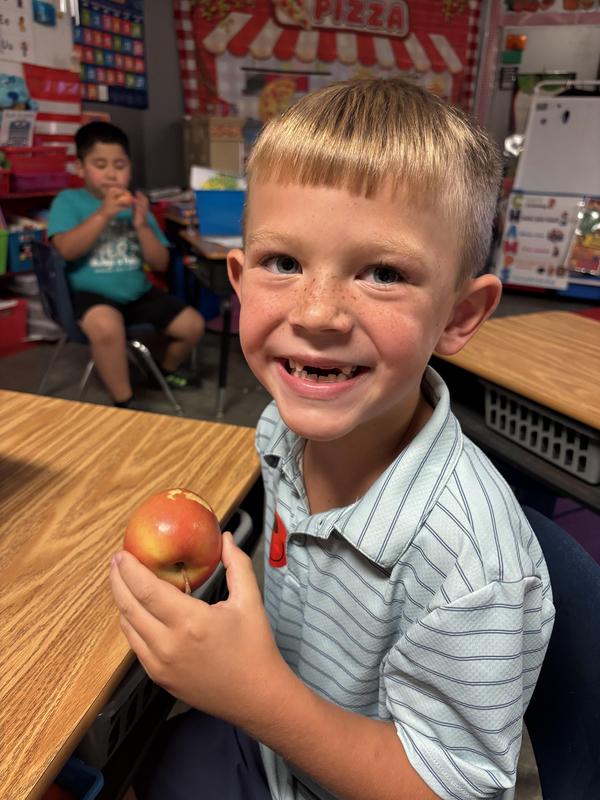 Apple Day at Spring Hill Primary