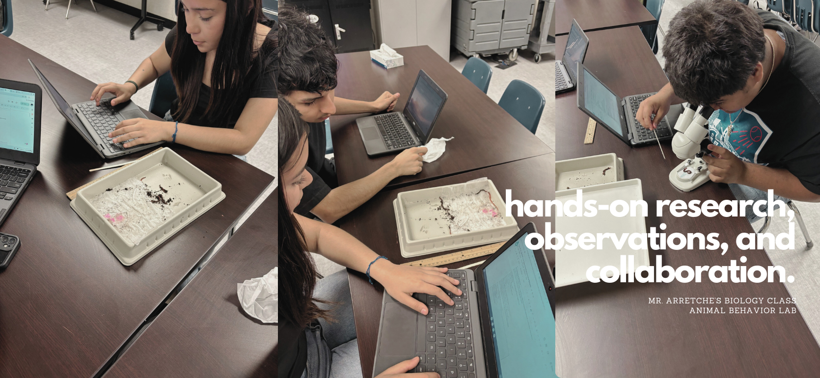 Students engaged in biology research with laptops and a microscope.