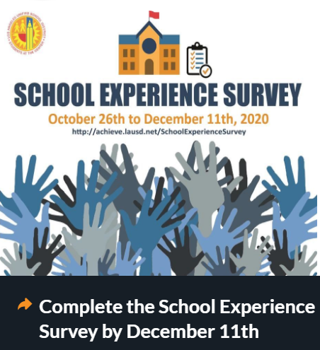 School Experience Survey