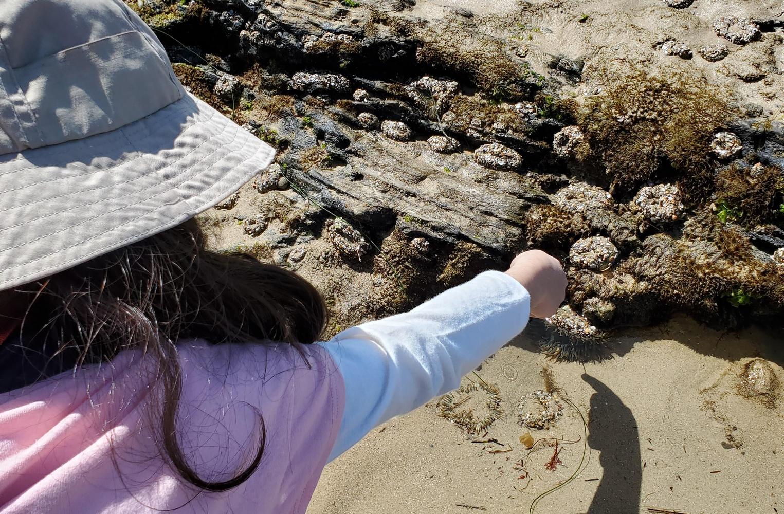 Student at Crystal Cove
