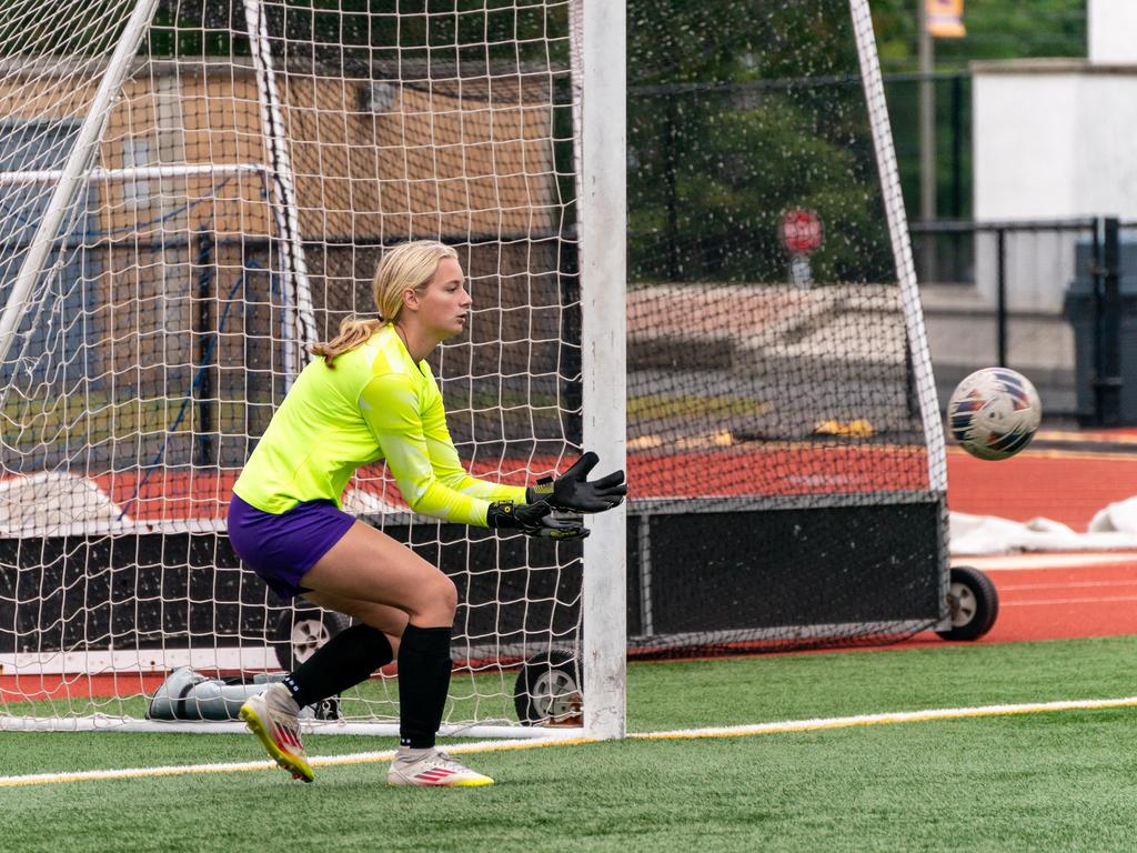 A goalie about to catch a soccer ball.