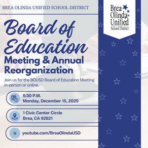 graphic designed flyer with text on image providing details of the meeting. Elements of stars and navy blue font and blocks on the design