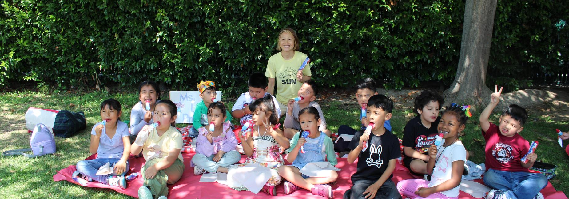 Mrs. Lay&rsquo;s Popsicle Picnic