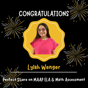 perfect ela/math
