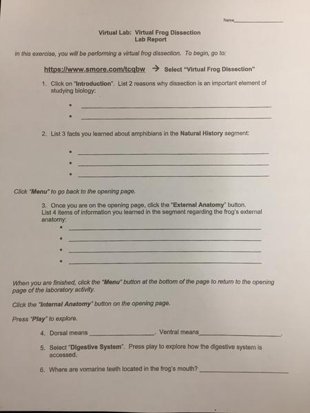 virtual frog pg 1.JPG