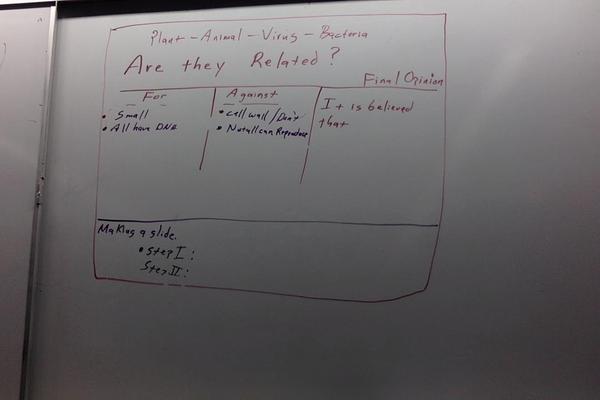 Photo on 1-17-19 at 11.02 AM.jpg