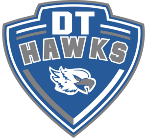 DT LOGO LARGE PNG.png
