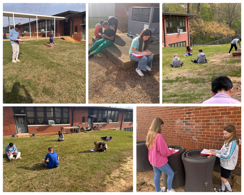 Math Egg hunt Review