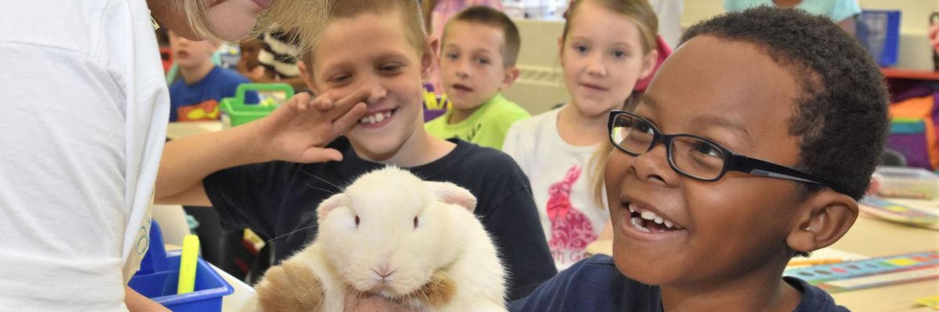 Bunny from partners for pets