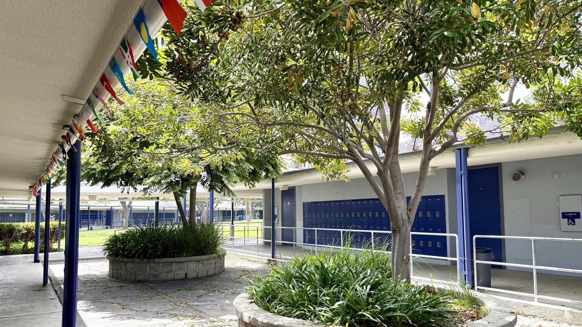 international school campus