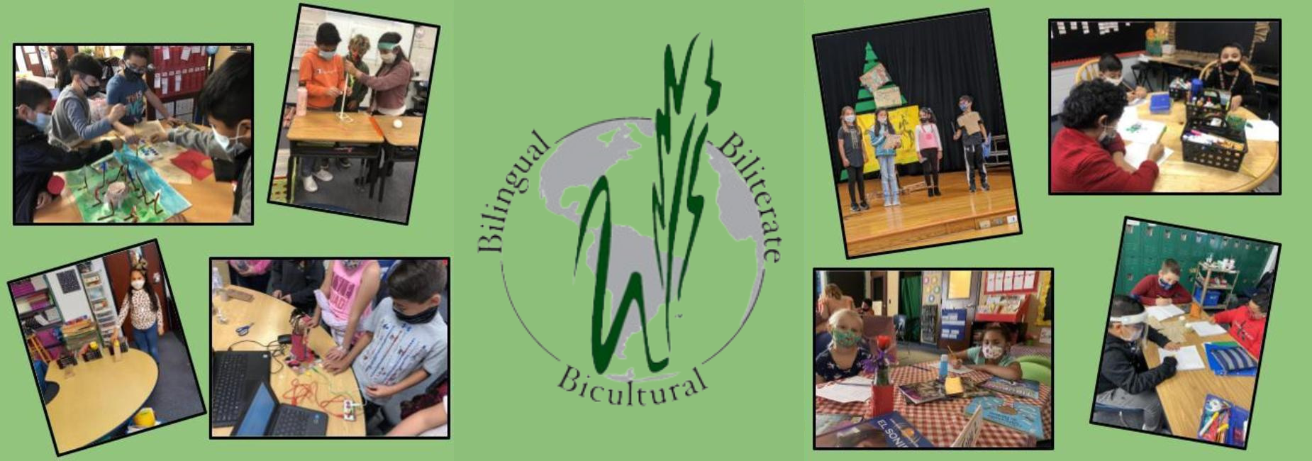 collage of elementary students busy learning on campus