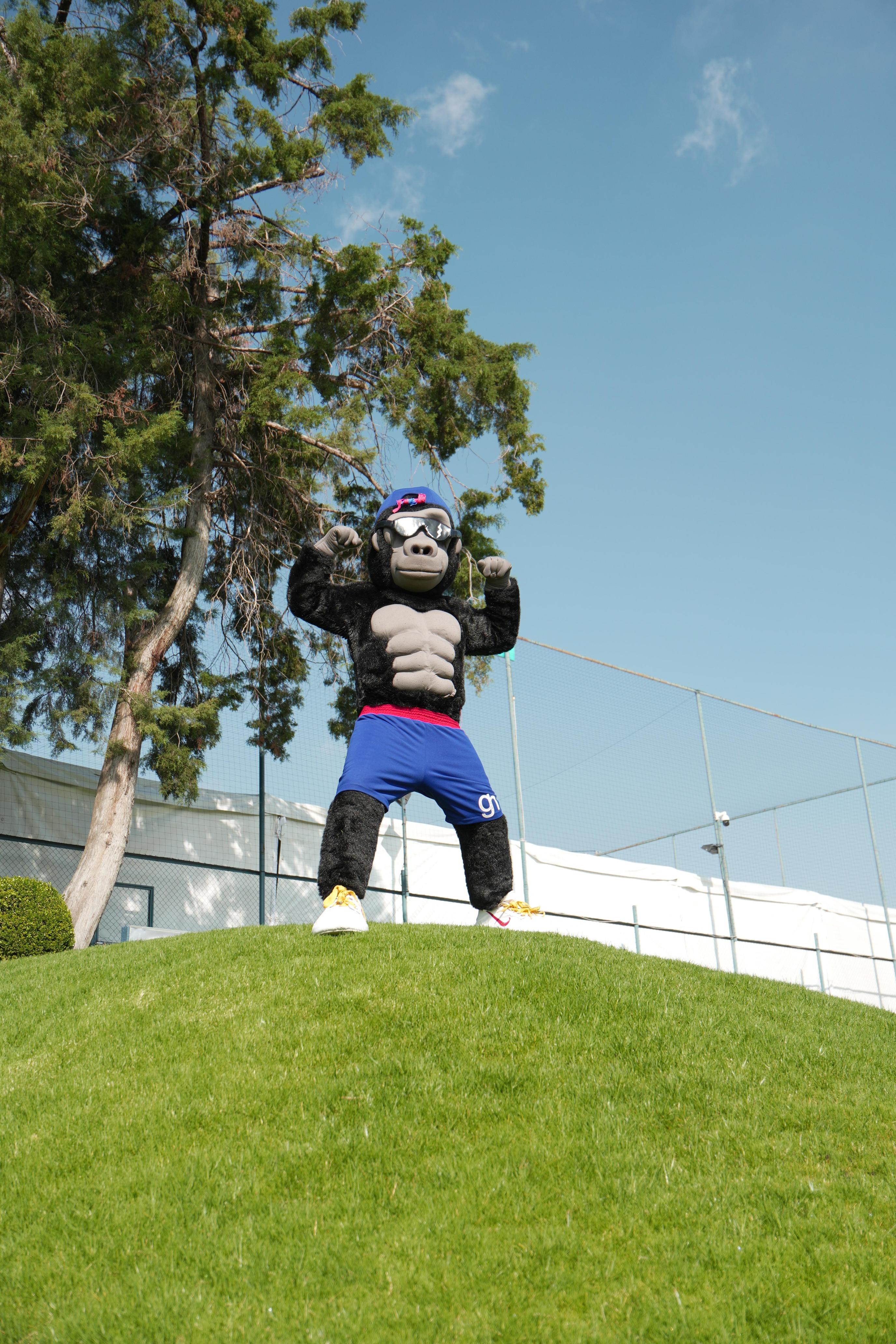 Green Hills International School Image