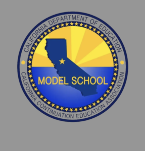 Model Continuation Visit