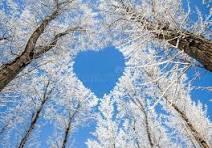 PHA Family Newsletter - February 2025 Featured Photo