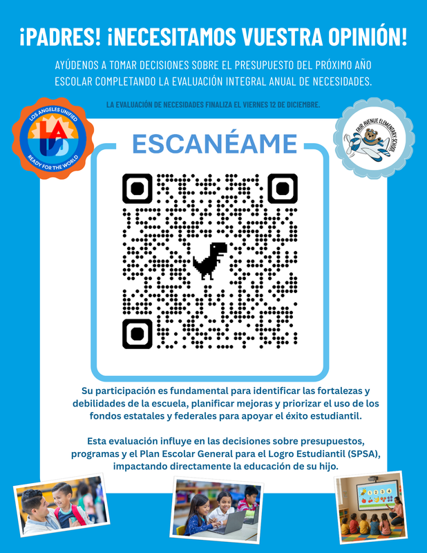 Needs Flyer - Spanish