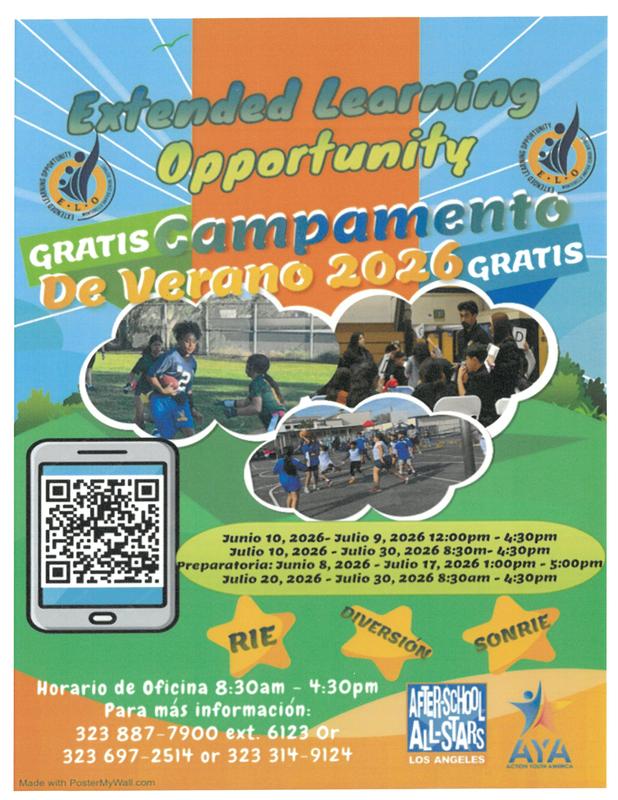 summer camp flyer in spanish