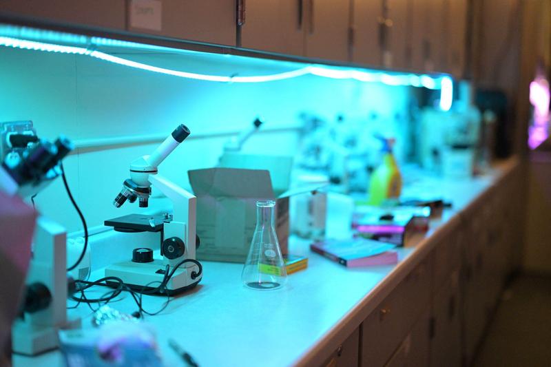 countertop in HCIS 7-12 charter school science classroom filled with microscopes and chemistry equipment
