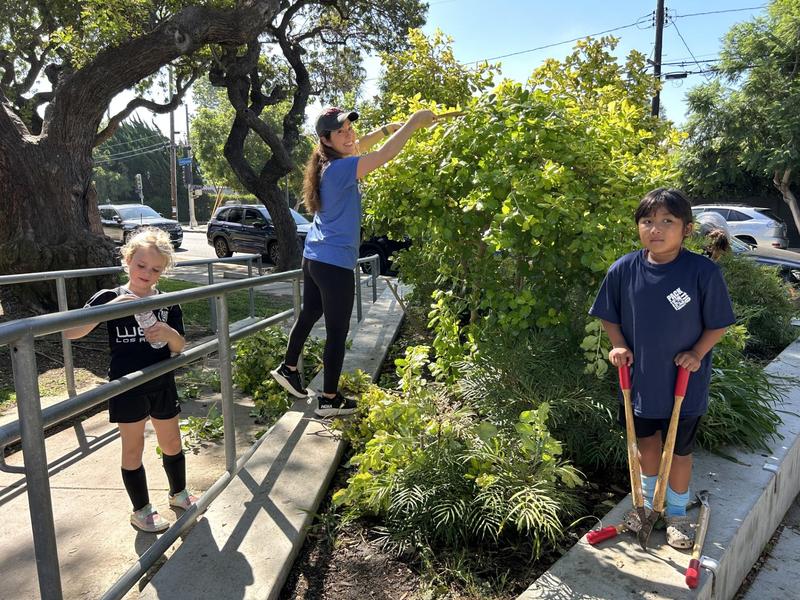 Students and parents gardening