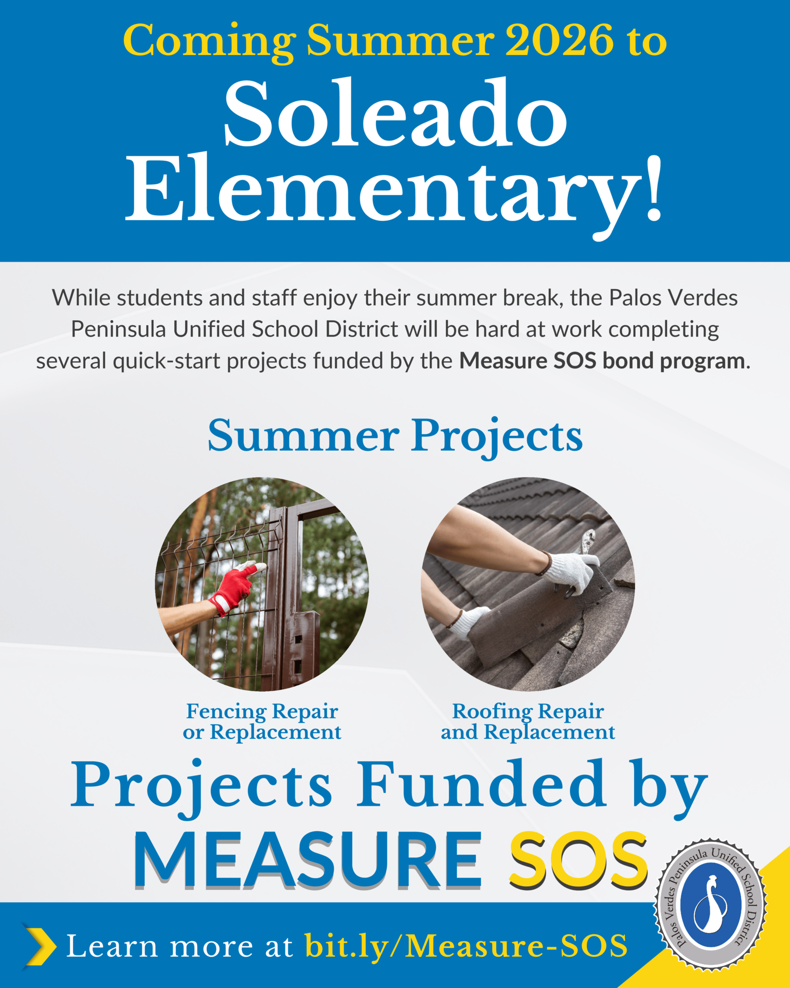 summer project infographic
