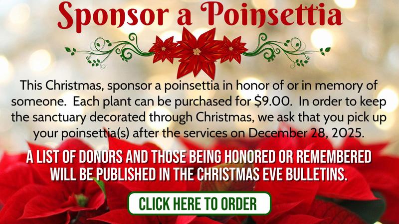 Sponsor a Poinsettia