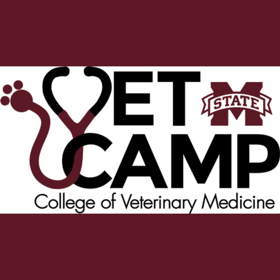 MSU VetMed Summer Camp