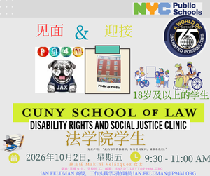 Chinese- colored text with D75 logo and P94M logo