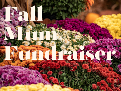 Mum Sale! Featured Photo