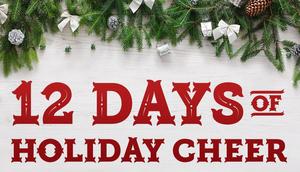 12 Days of Holiday Cheer