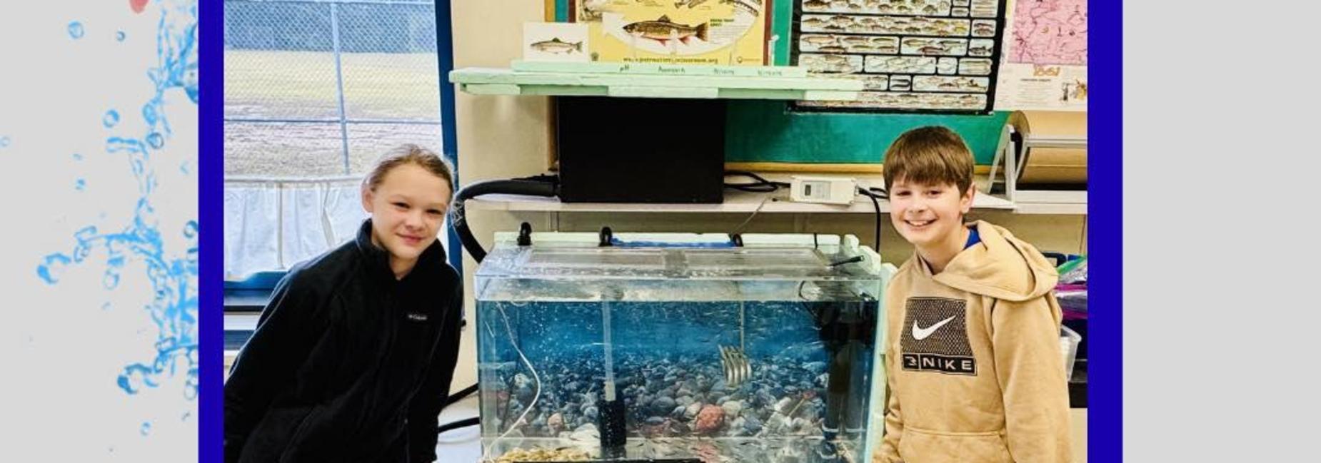 WHE Trout in the Classroom Program