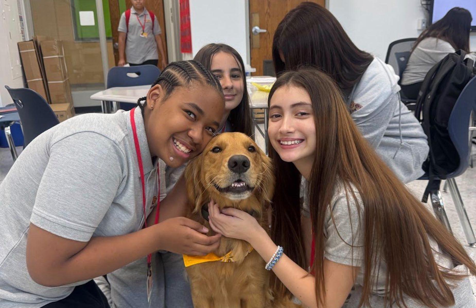 students around golden retriever in class