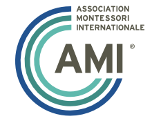 AMI logo