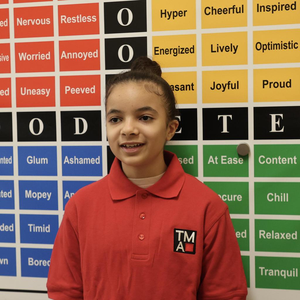 Students presented in front of mood meter