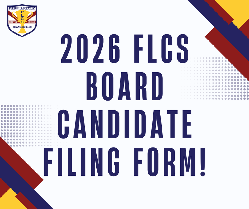 2026 Board Appointment & Election Process