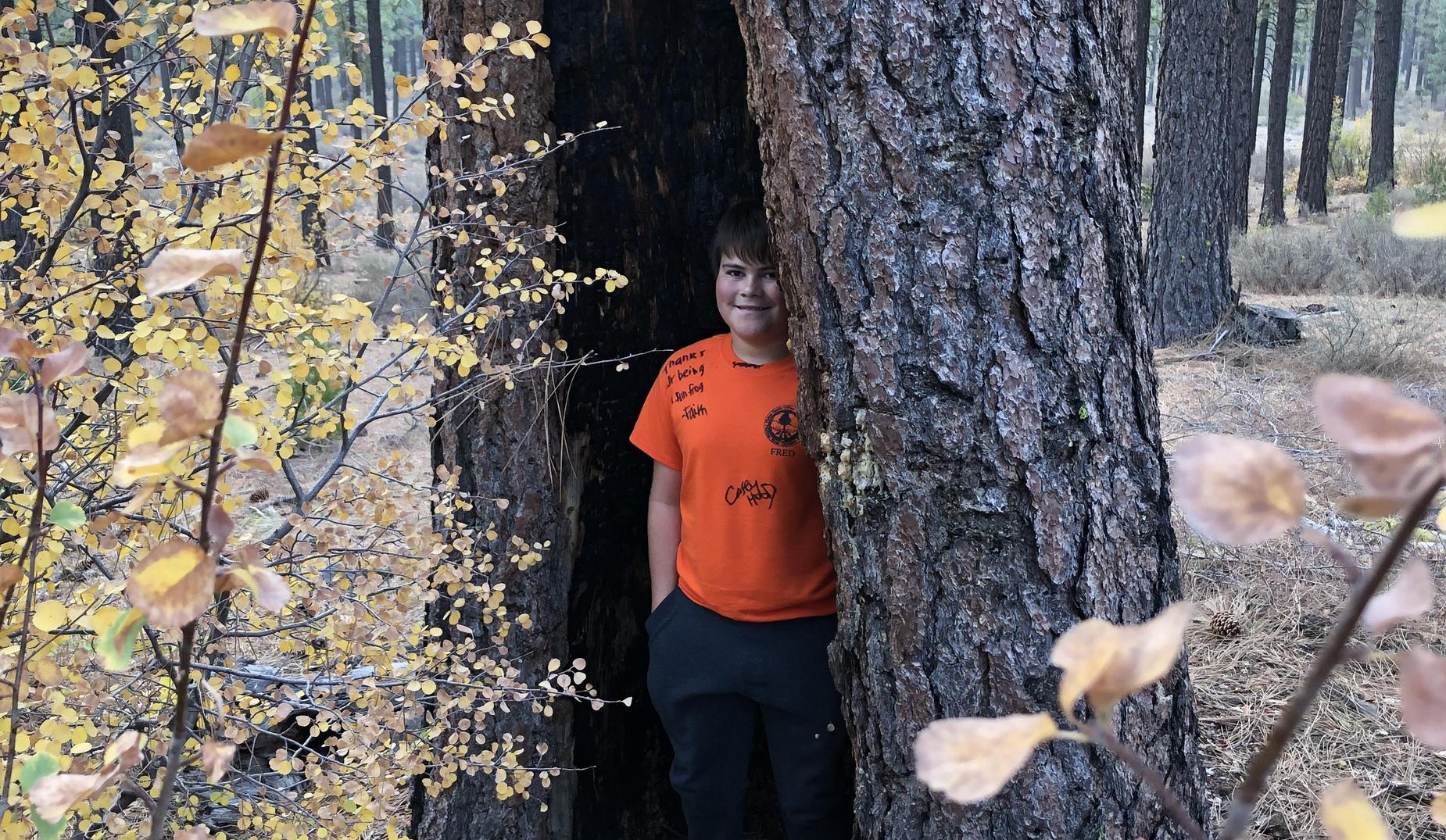 crc tree hollow