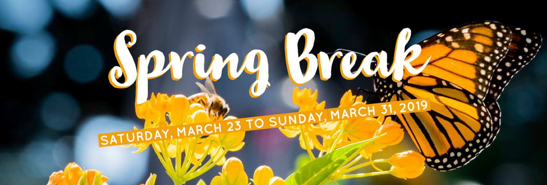 Spring Break 2019