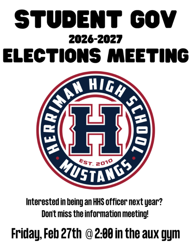 Student Elections Flyer