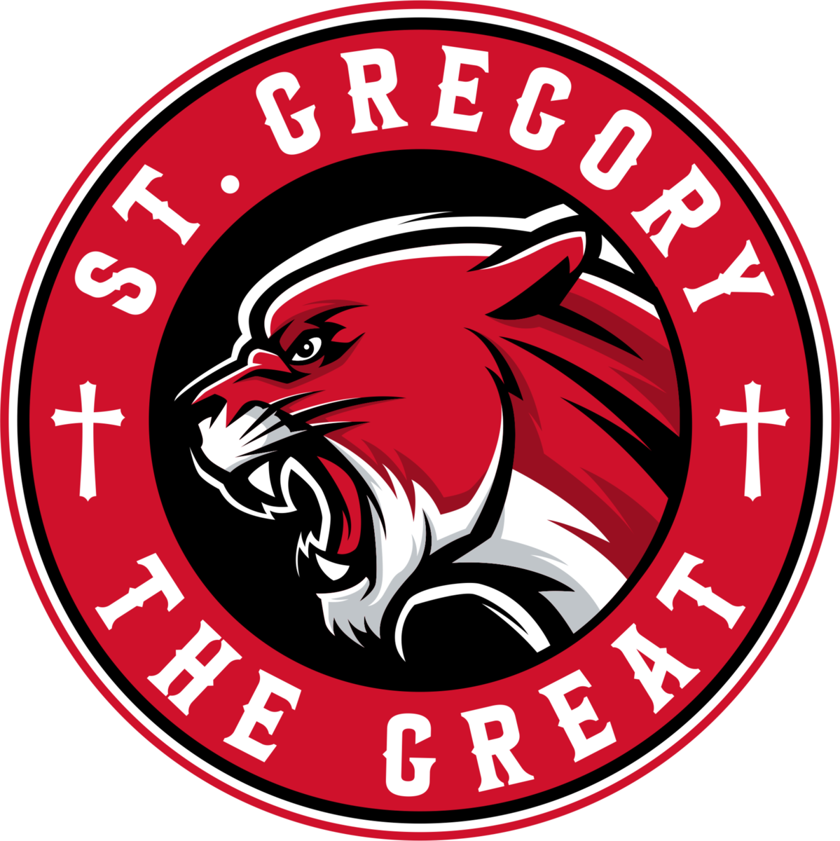 sports logo