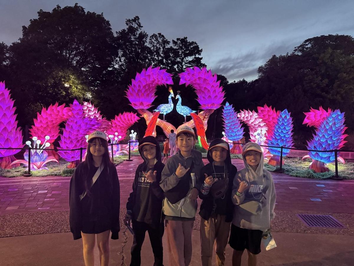 Exploring the St. Louis Zoo at night